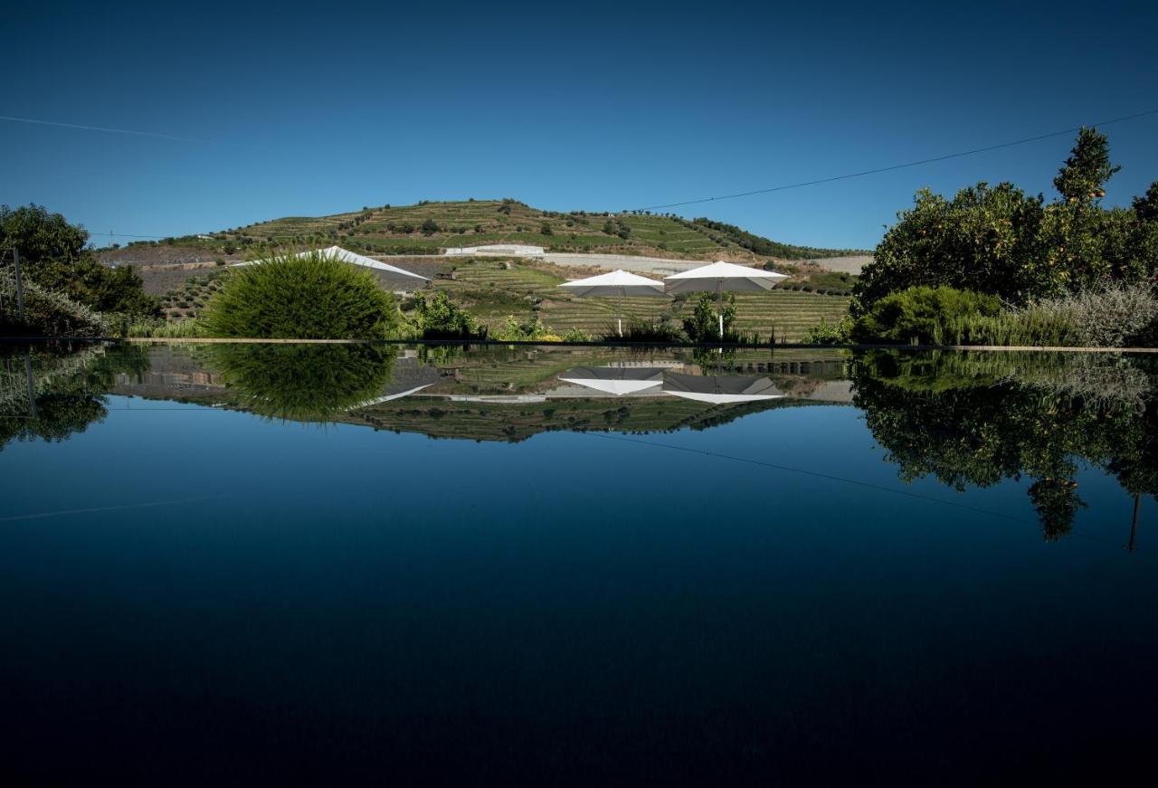 Quinta Do Vallado - Douro Wine Hotel Peso da Regua Luaran gambar