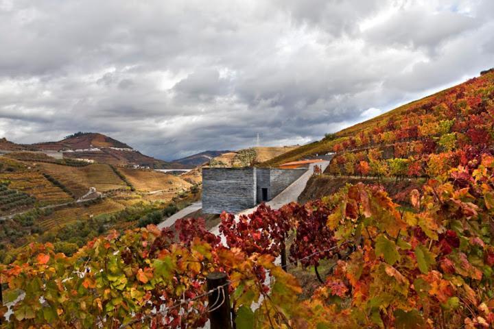 Quinta Do Vallado - Douro Wine Hotel Peso da Regua Luaran gambar